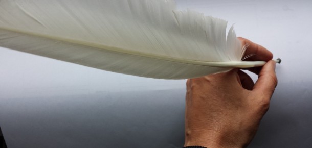 Digital Quill
