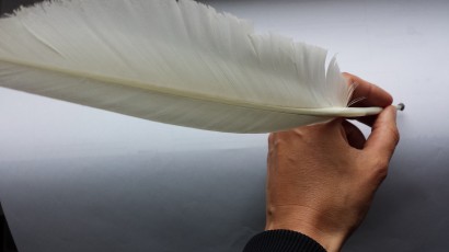 Digital Quill